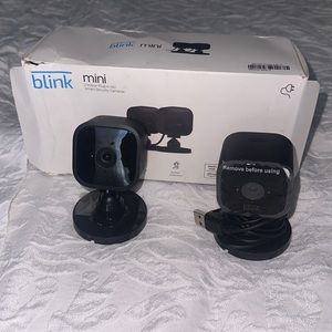 Blink mini cameras